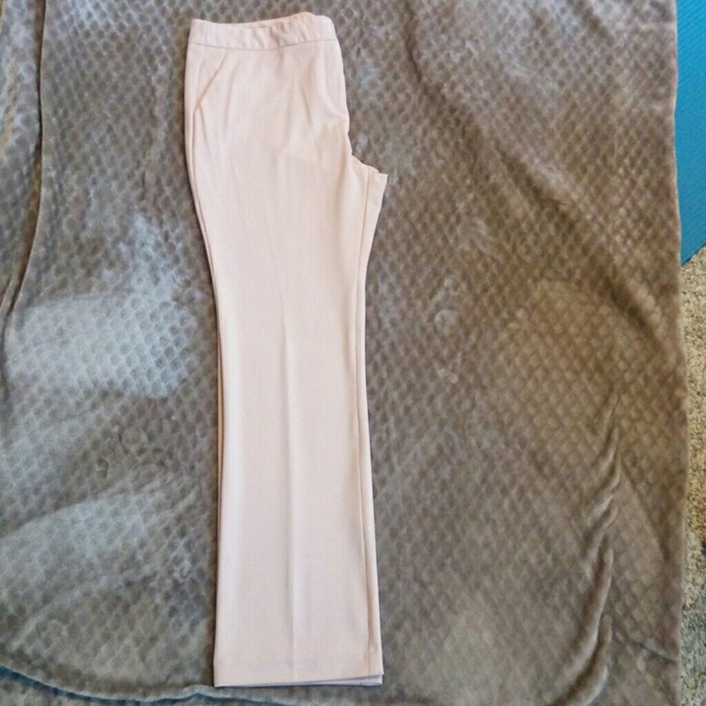 NWOT- Blush Dress Pants